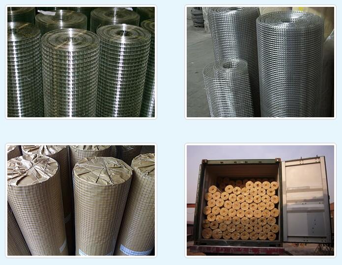 Stainless Steel Welded Mesh