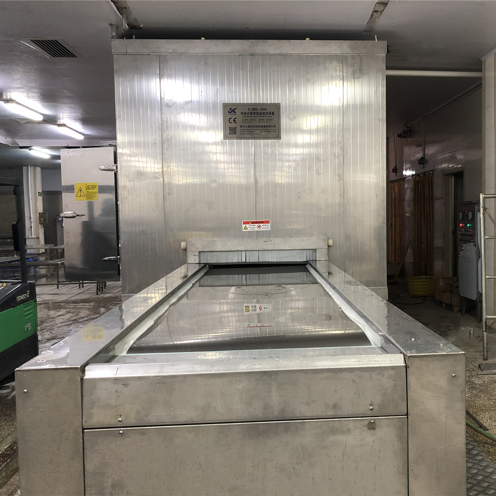 Impact Plate Belt Tunnel Freezer