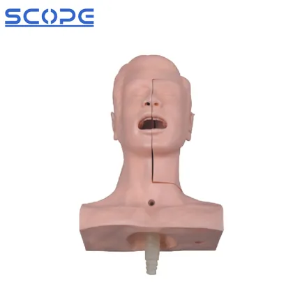 PVC Advanced Sputum Suction Nursing Manikin SC-H85