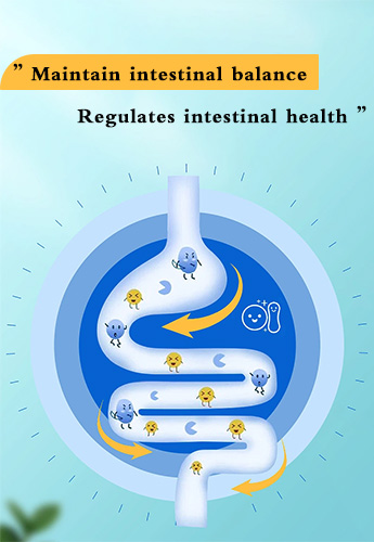 Gut regulation