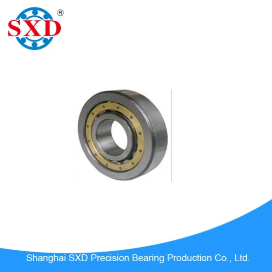 Deep Groove Ball Bearing 61809 ZZ/ 61809 2RS/ 61809 NR Models with P5, P6, V2, V3