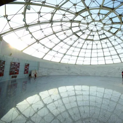 Steel Frame Steel Grid Steel Structure Curtain Wall Skylight