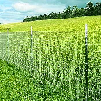 Reliable Farm Fence Solutions for Productive Agricultural Land