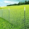 Soluções confiáveis ​​de cercas agrícolas para terras agrícolas produtivas
