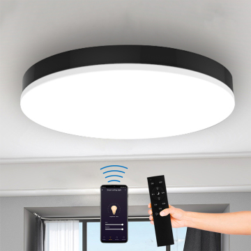 12 Inch 15W Thin Ceiling Lamp for Kitchen and Bedroom