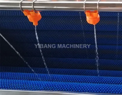 Pecan Washing and Vegetable Cleaning Machines