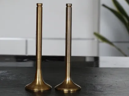 Used for YANMAR Engines Engine Valve