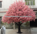 SJ1501032 Indoor ornamental flower tree/artificial cherry plants tree