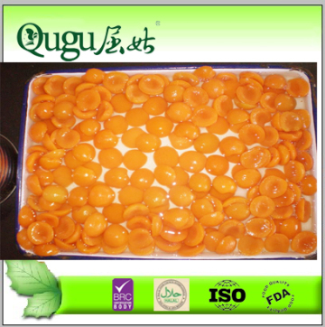 wholesale canned apricot in syrup