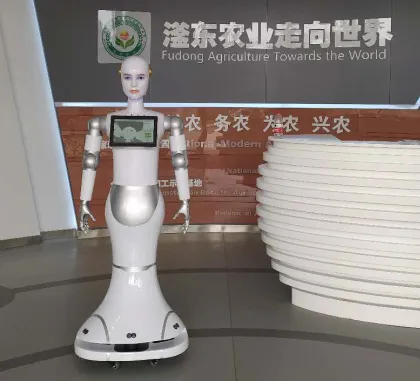 Xiaoao: Interactive Intelligent Welcome Service Robot