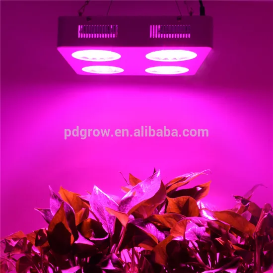 Hot sell best quality Full Spectrum 300w LED Grow Light