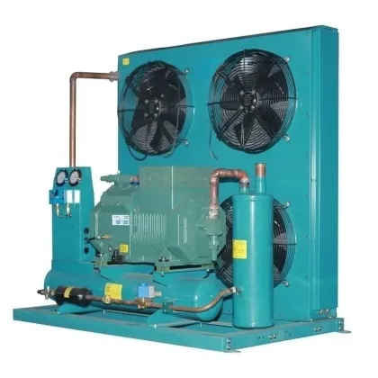 High Performance Two-Stage Bitzer Compressor Air-Cooled Condensing Unit for Cold Room Storage