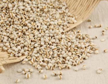 Coix Seed Health Benefits