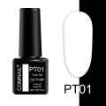 PT01