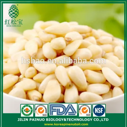 Bulk Factory Direct Confectionery Pine Nut Kernels for Snack Foods