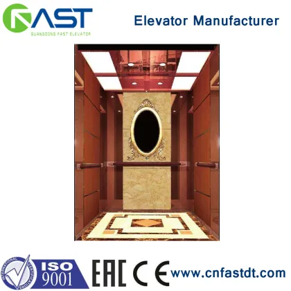 FAST Environmental Protection and Energy Saving Elevator Lift