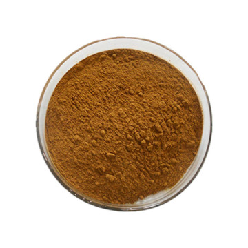 Buy online active ingredients Oolong Tea Extract powder