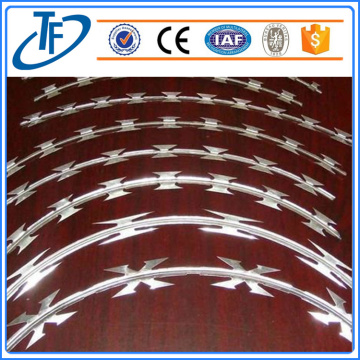 Dock thẳng dây Razor Wire Fence