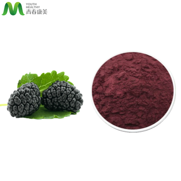 Natural Mulberry Juice Powder