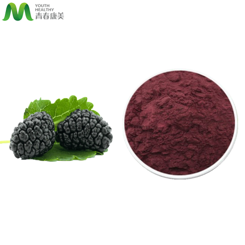 Natural Mulberry Juice Powder