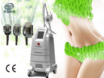 Weight Loss Cryolipolysis Beuaty Machine (ETG50-3SC)