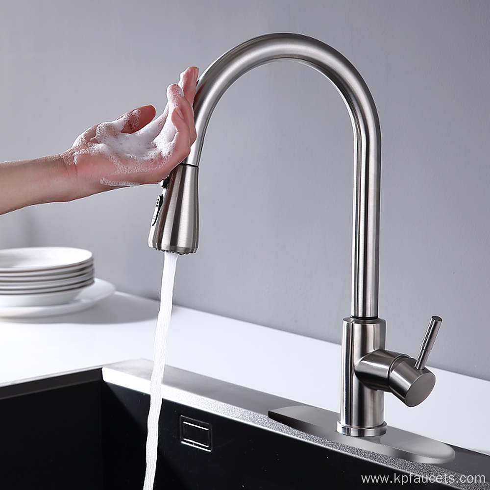 Adjustable Deluxe Pull Down Kitchen Faucet Sprayer