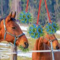 Silicone Horse Treat Ball Feed de alimentación lenta Bola