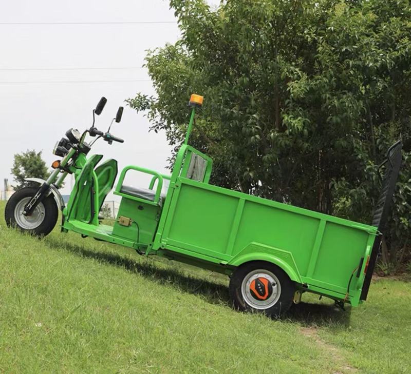 Trash sorting, cleaning, and transfer vehicle