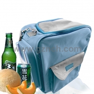 2013 Fashion Car Refrigerator/ Portable Cooler Bag