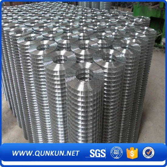 2017 new products galvanized welded wire mesh