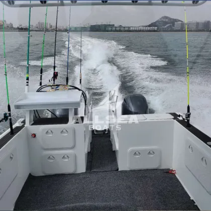 China 7.9m Aluminum Sea Cruiser Catamaran Rowing Boats for Sale