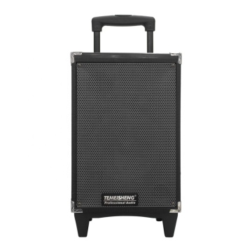 Temeisheng A8-2T Trolley DJ Speaker System with RGB LED Lighting - 60W Output Power