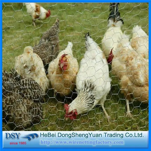 PVC Coated Hexagonal Chicken Wire Mesh