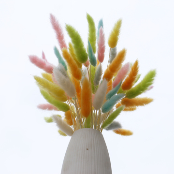 Yunnan Factory Wholesale Natural Rabbit Tail Grass - 60 Pcs/Bag