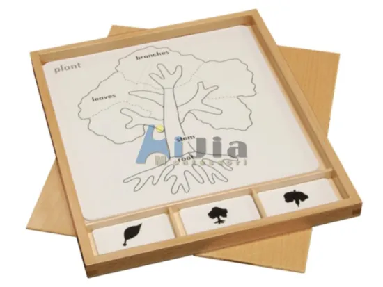 montessori toy-Botany Puzzle Activity Set
