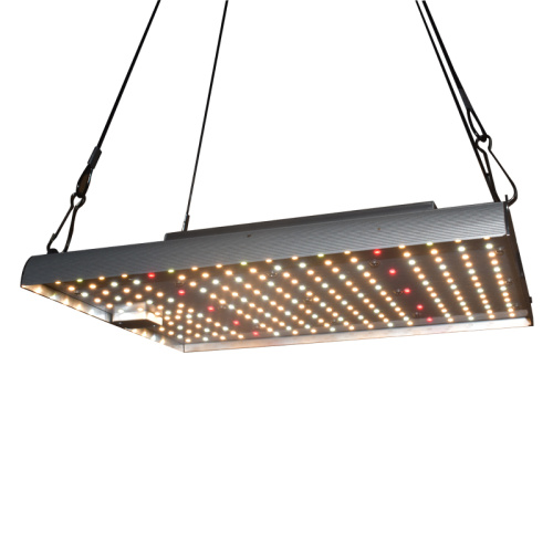 Grow Light For Flowering 120W