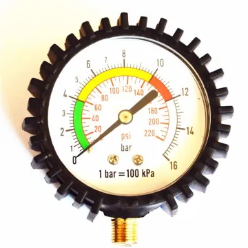china made tire pressure gauge valve caps