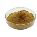 Best function cnidium monnieri extract powder fructus cnidii