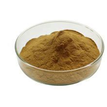 Supply Fig Extract 10:1 /Ficus Carica extract