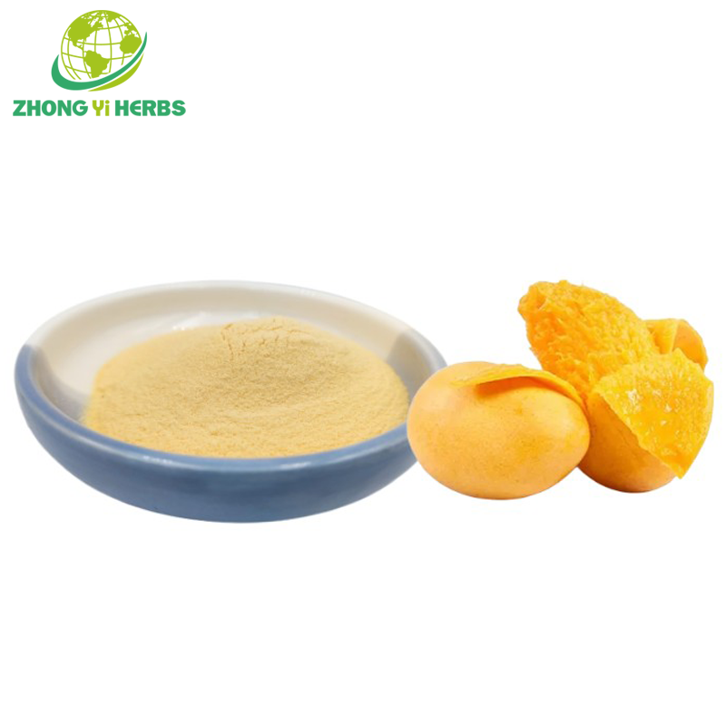 Organic Mango Juice Powder