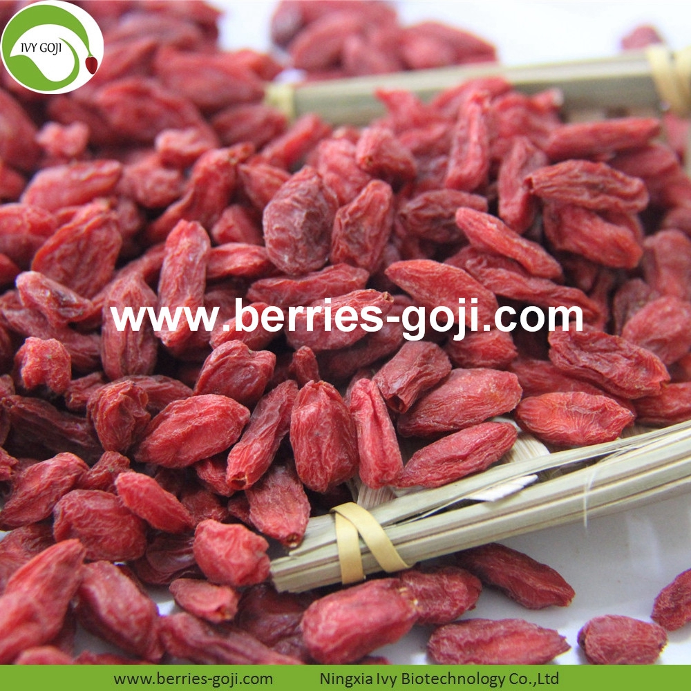 goji berry