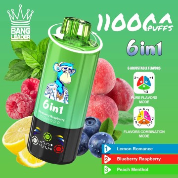 Pemimpin Bang Pemimpin 110K Puff Vape