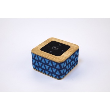 Private new Bluetooth speaker