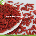 Best Quality Wholesale Nutrition Wolfberries secos orgânicos