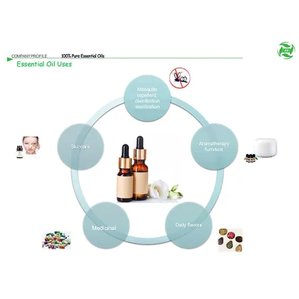 Natural Beauty Hair Oil Body Massage Oil Warmer Private Label Ginger Oil