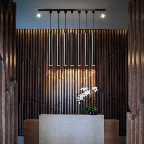 Modern Nordic Dimmable LED Ceiling Light for Living Room and Restaurant