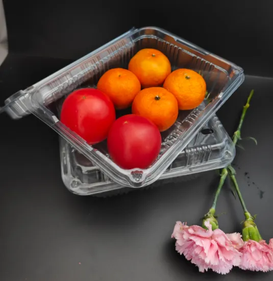 Plastic Fruit Container For Fruit