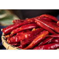 Best Price High Quality Red Chaotian Chili