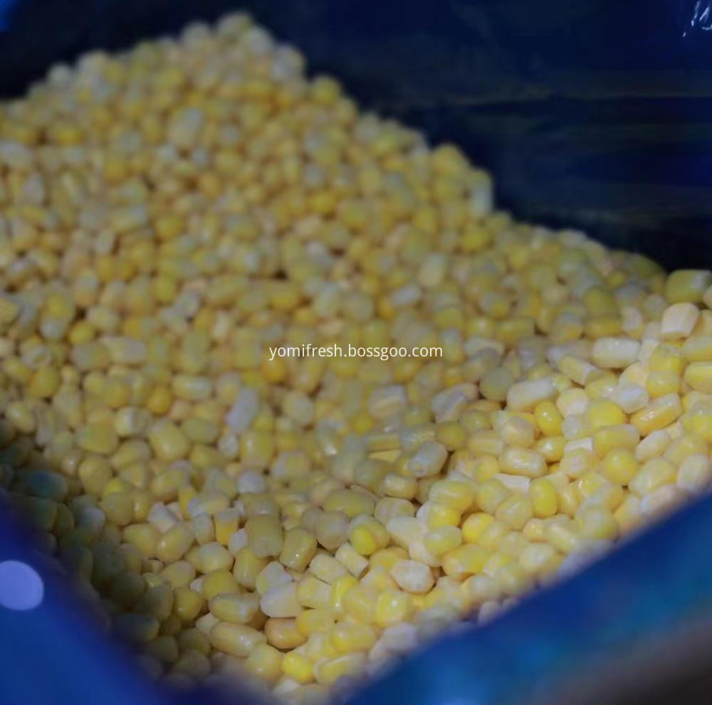 Sweet Corn Kernels Frozen, High Quality Sweet Corn Kernels Frozen on