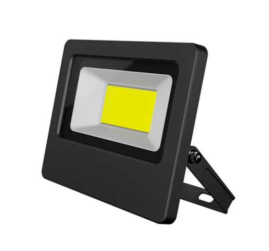 Ceiling mountable LED floodlights